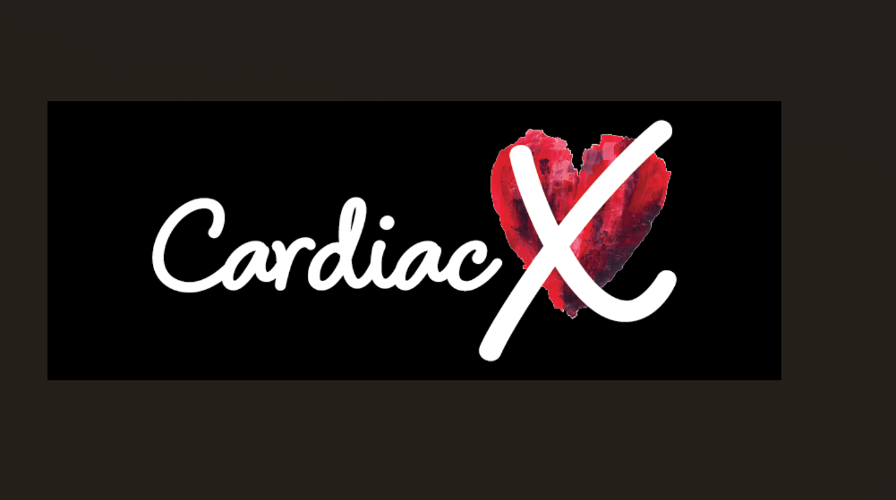 AED Servicing and Maintenance (including loan AED)