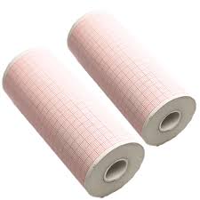LIFEPAK ECG Paper for LP1000, LP12, LP15. 2 Rolls.